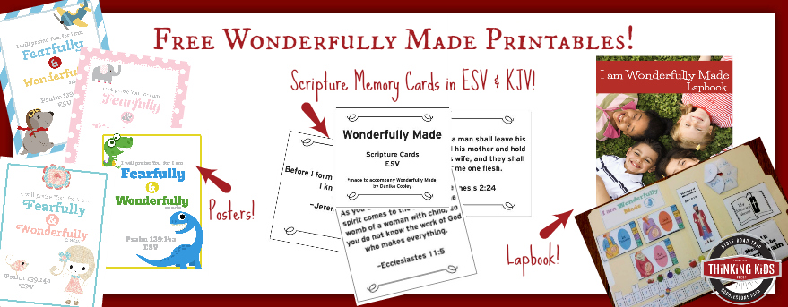 Check out the free Wonderfully Made printables available at Thinking Kids! Posters, Scripture memory cards, and a lapbook! Teach your kids what the Bible AND science say about life in the womb!