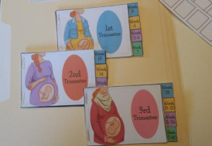 Free Wonderfully Made lapbook! Teach your kids about what Scripture AND science say about life in the womb!